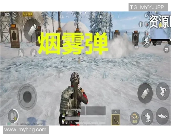 和平精英战术解析IG战队区域防守体系的成功经验与策略分享